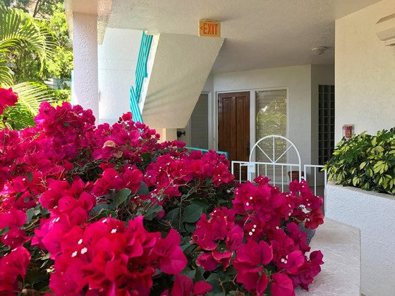 Entry to Front door - Condo for sale at 370 A Gulf Of Mexico Dr #421, Longboat Key, FL 34228 - MLS Number is A4513966